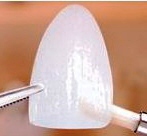 cosmetic_den_image