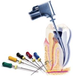 Endodoncija